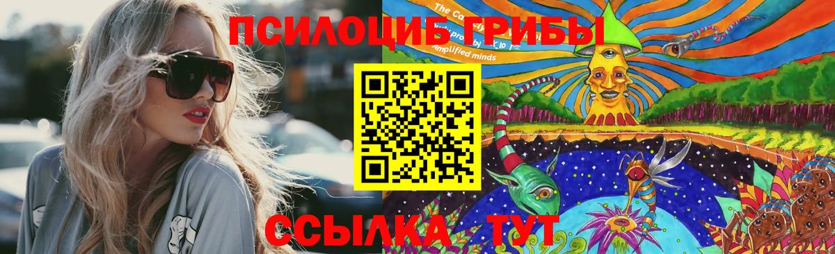 Галлюциногенные грибы MAGIC MUSHROOMS  Псилоцибиновые грибы Cubensis  Вход с VPN  Киселёвск 