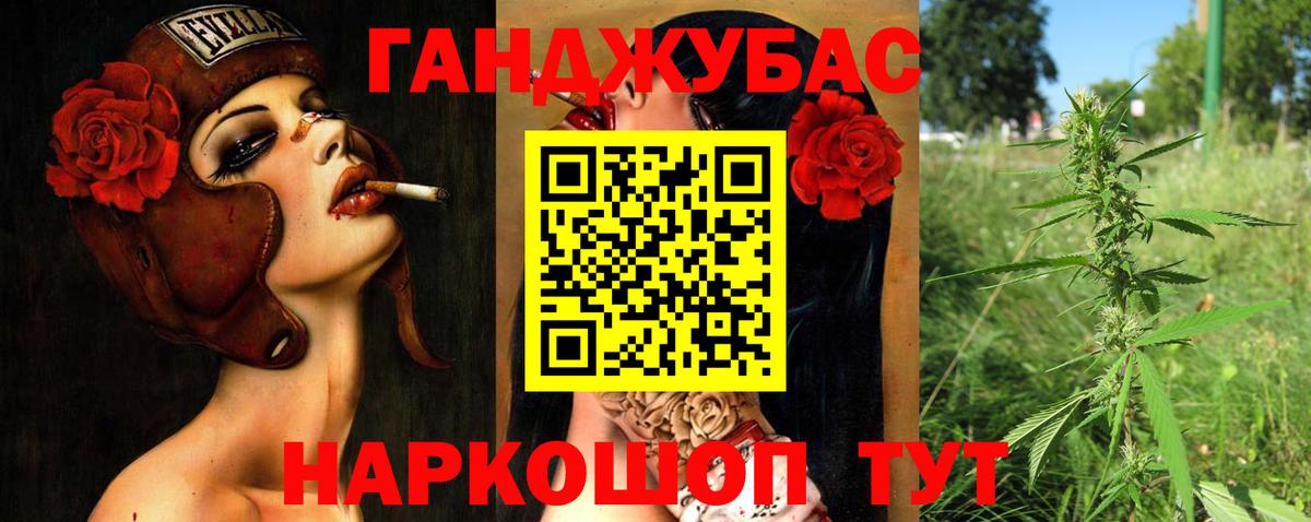 Конопля план  Бошки марихуана сатива  Киселёвск  Вход с VPN 